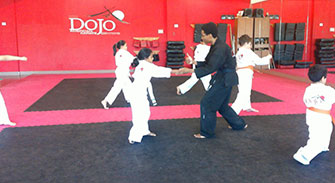 Duluth Martial Arts Gallery